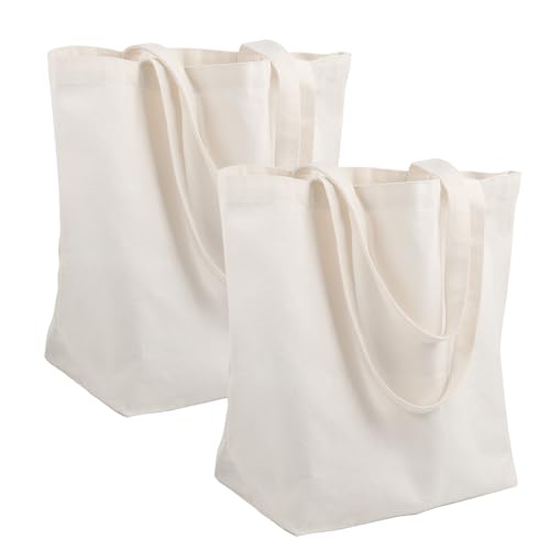 Fourindo Lot de 2 sacs en coton non imprimé, 45 × 35 × 15 cm, beige naturel, sac en toile de...