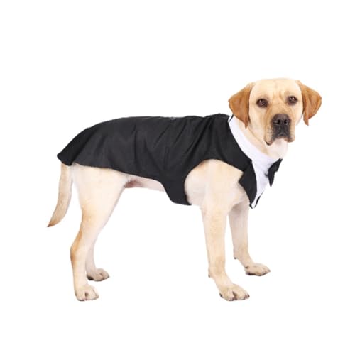Disfraz formal para perro Tuxedo talla L elegante miniatura 6