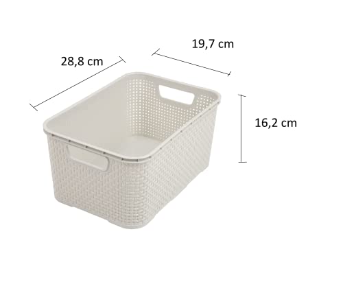 BranQ - Home essential universeller, multifunktionaler Korb in Rattan Design, Grösse M 10 l, BPA-frei Kunststoff PP, Creme, 28,8x19,7x16,2 cm