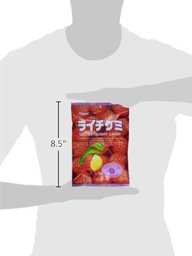 Kasugai Gummy Stand Pack, Lychee, 1.76 Ounce (Pack Of 12) #TOP2