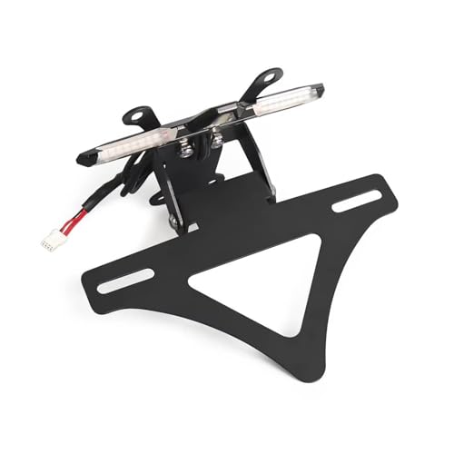 Support Plaque D'immatriculation Haut de Gamme en Aluminium pour Speed Triple 1200 RS