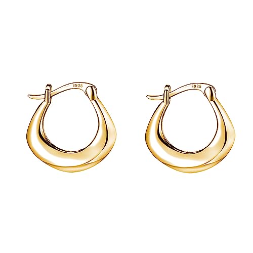 Boucles d'oreilles minimalistes créoles épaisses argent massif 925