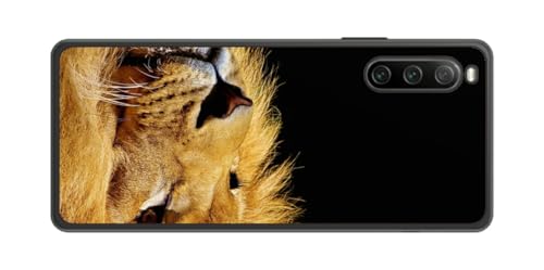 ClearView Sony Xperia 10 IVp vg w ی tB { vg CI