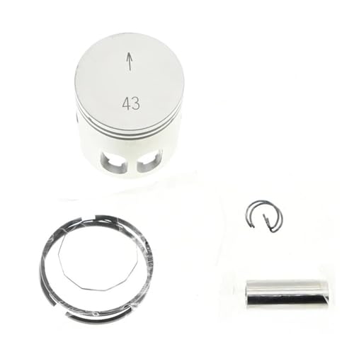 DT50 2Xg[NV_[LbgɓK - a40mm43mmAvOƃsXgOꎮt ꕔ(43mm)