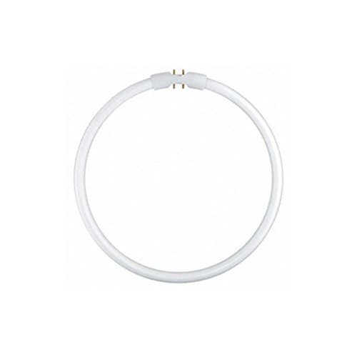 Osram Lumilux T5 FC 22 W 2 GX13 warmweiß – Lampe (T5, 2 GX13, A, warmweiß, Box)