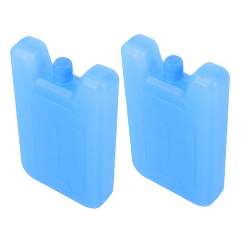 Garneck 2 Piezas Caja de de Hielo para Ventilador de Aire Acondicionado. Bloques congeladores para refrigeradores Accesorios más fríos Educación física Azul