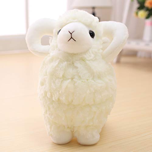 r qcW ʂ  25-45CM ӂӂ  킢   q ޏ a v[g 蕨 ӂӂ _炩 j j wj o^C 4FI