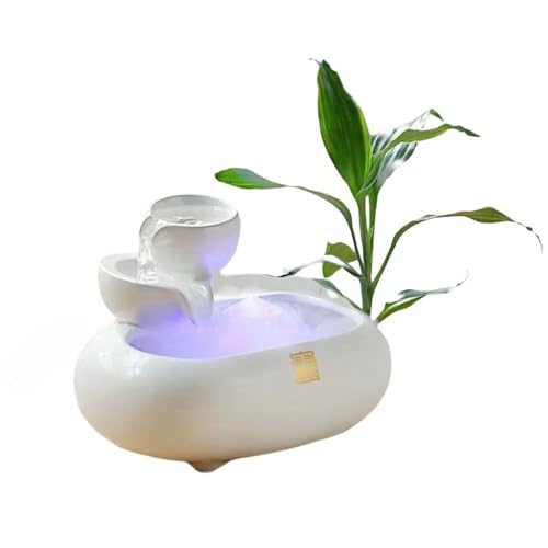 SENKAR Z~bNz fXNgbvItBX i R[q[e[upi 24#u (y㉺iz)