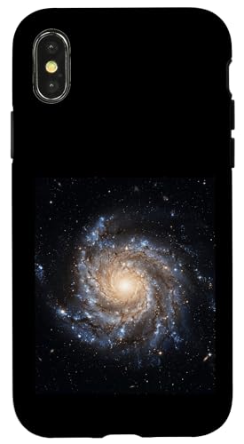 �X�p�C������͍\���V���w�V�̕����w�R���Z�v�g �X�}�z�P�[�X iPhone X/XS �p