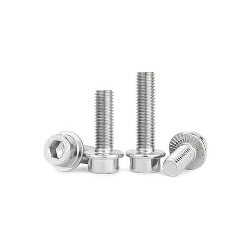 304XeX|~tWZplW/{gM5/6/8/10/12(2pcs M10x25)