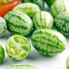 Gromax India Special Summer Season Sind Kachri Vegetable Seed For Home Gardening Pack Of 40 Seeds (B09TTF36X8) Amazon Price History, Amazon Price Tracker