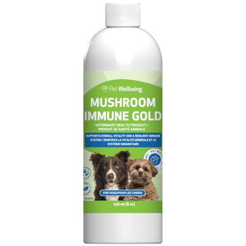 Are all mushrooms poisonous to dogs