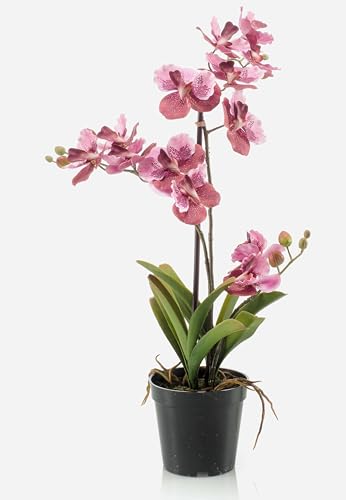 artplants.de Fleur Artificielle Orchidée Vanda Campo, Rose-Rose Fuchsia, 60cm - Fleur synthétique/Fausse orchidée