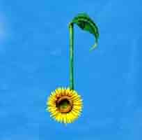 Amazon.co.jp: 決意の朝に: ミュージック