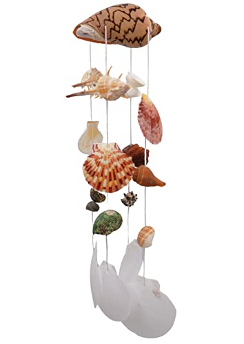 Forever 1 Wind Chimes Haven Shop Pacific Seashell Wind Chimes thumb #7