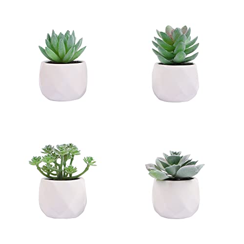 Homcomodar Lot de 4 plantes succulentes artificielles en pot - Pour étagère de salle de bain - Décoration intérieure et extérieure Cover
