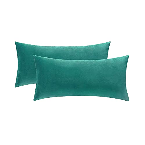 Pack 2 Fundas de Terciopelo para Cojines y Almohadas del Sofá y de Cama. 2 Pcs de Funda de Almohadas de Terciopelo Suave para sillón y habitación, Colores Modernos (Azul-Verde, 30_x_50_cm)