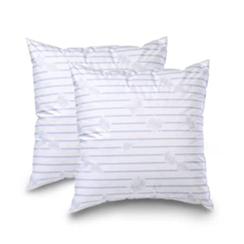 Blanrêve - Lot de 2 Oreillers d'Antan - Naturels et éco-Responsable - Plume - 60 x 60 cm - Fabriqué en France