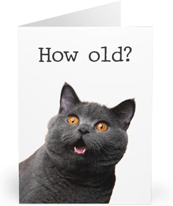 1 X Greeting Card Grey British Shorthair Cat Kitten - Blank Birthday Celebration Anniversary #45244 - View #5