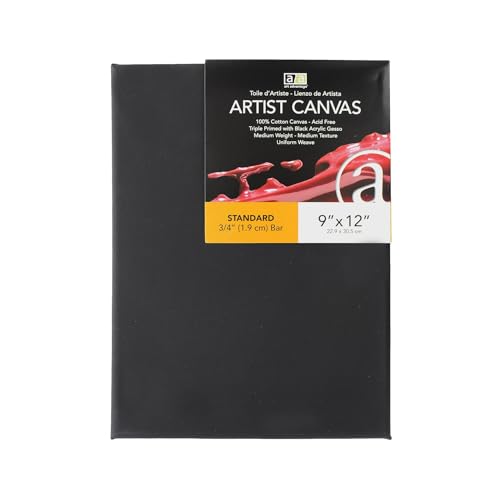 Art Advantage C2 Schwarze Künstler Leinwand 9x12