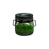 McCall’s Candles | Witches Brew | 16 oz Two-Wick Scented Candle | USA-Poured | Vintage Mason Jar | Spiced Clove, Cinnamon & Ginger Halloween Fragrance