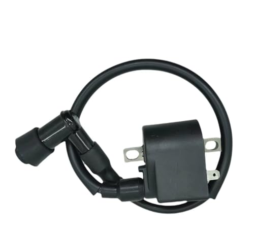 Bobinas de encendido AX 100 CDI para motocicleta de dos tiempos FZ50 y RC80