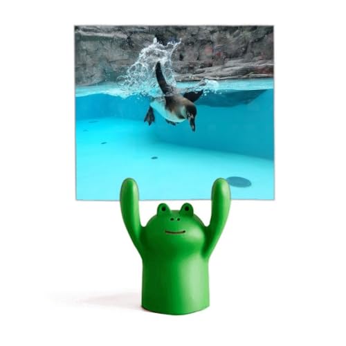 Porte-photo pingouin de l'Antarctique pour souvenirs de vacances