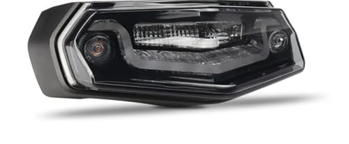 Freno trasero Tenere 700 con piloto LED de freno integrado e intermitentes para World Raid