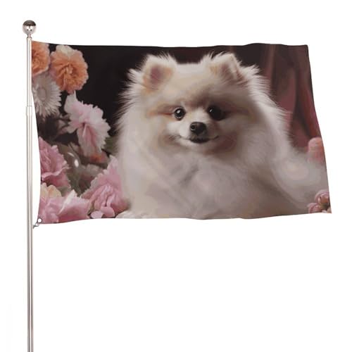 Drapeaux de jardin Poméranie pour décorer votre entrée fleurie
