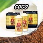 HG COCO NUTRIENT A & B 5L
