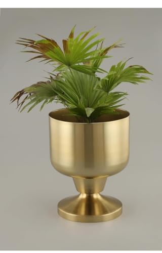 SSR International Bloom Space Iron Plant Pot – Gold Finish | Durable Metal Made Plant Pot For Home, Office And Balcony Decor | Modern & Aesthetic Design Pot For Rs. 50 @ 97 %