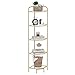 Hzuaneri Corner Shelf Stand, 5-Tier Glass Bookshelf Bookcase, Bathroom Organizer, Plant Stand, Steel Frame, Tempered Glass, Modern Style for Living Room, Bathroom, Kitchen, Golden CS90200G