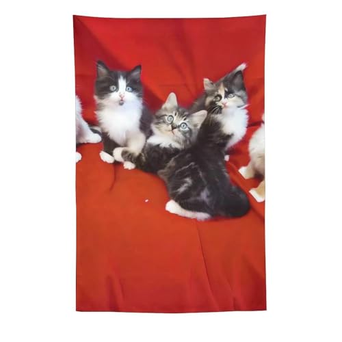Tapisserie murale chat pour une decoration amusante et esthetique de votre studio