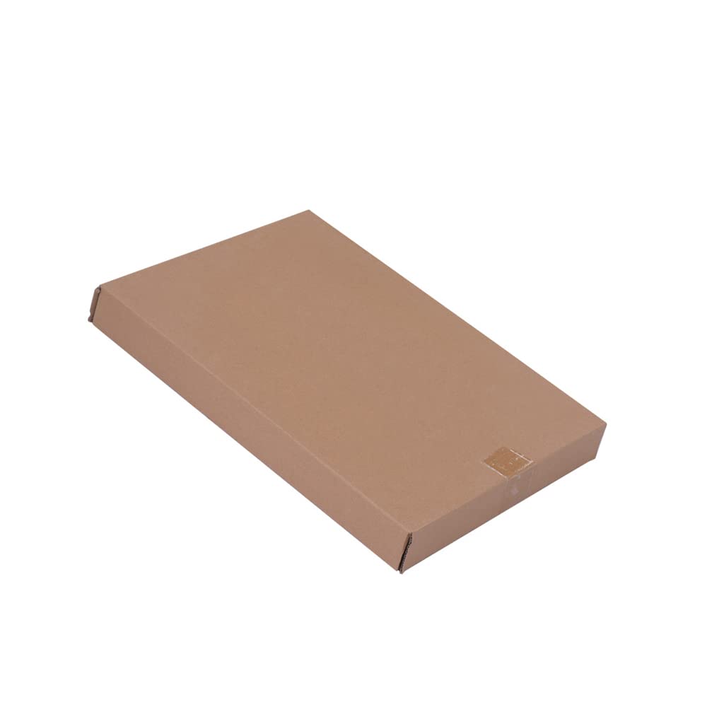 ROYHH T02 Unfinished Electric Guitar Body Sycamore Wood Blank Guitar Barrel for Electric Guitars DIY Parts, Beige