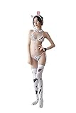 Cute Anime Lingerie Sets Sexy Bra and Panty Set Costume Cosplay Bikinis for Women