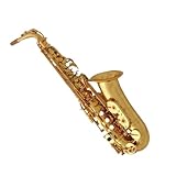 Saxofón Profesional Saxofón Alto Con Boquilla Y Estuche