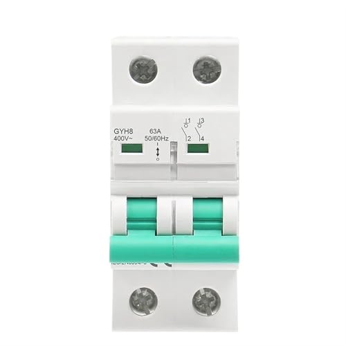 Disjoncteur principal 63A bipolaire rail DIN pour tableau électrique 400VCA interrupteur DP