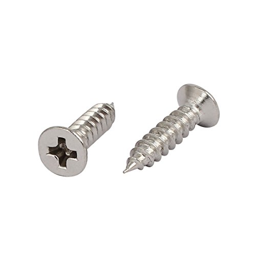 Tornillo Autoperforante M4x16mm Acero Inoxidable Phillips miniatura 2