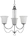 Sea Gull Lighting 31291BLE-57 Chandelier with White Alabaster?Glass Shades, Weathered Pewter Finish