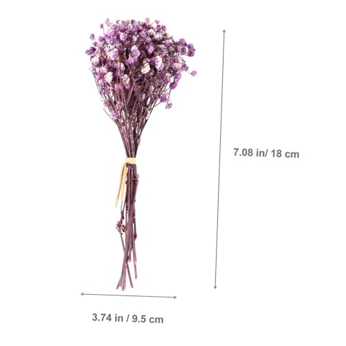 Ramo de 6 flores secas naturales Babys Breath Happyyami miniatura 2