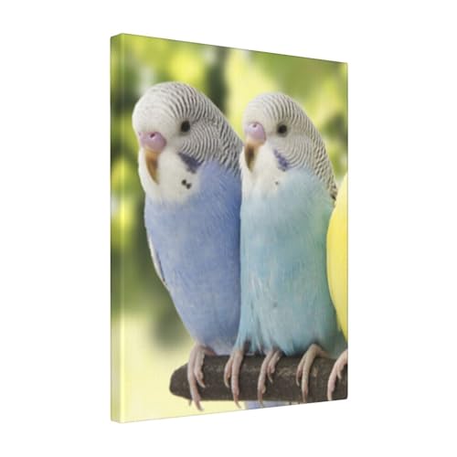 A[gplǊ| 킢CR2 ?Ǒ?z _ |X^[  k|X^[ \t@wiAoX[N̗ǂ|[`Aؐt[free Size