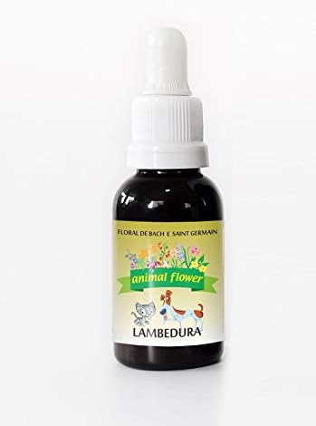 Animal Flower Floral 30Ml Lambedura
