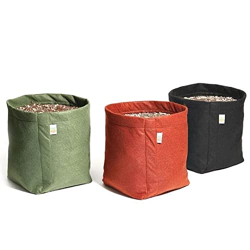 Vaso de Feltro 11 Litros - King Pot (Preto)