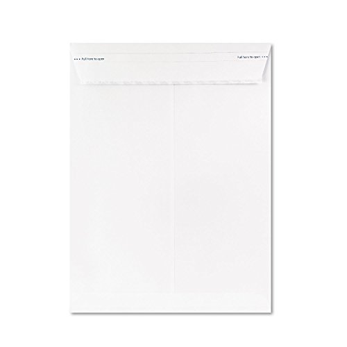 Ampad Fastrip Security Catalog Envelope, 9 Inch x 12 Inch, Peel & Seal Adhesive, Security Tint, Tear-Away Quick-Open Strip, White, 100 Per Box (73127)