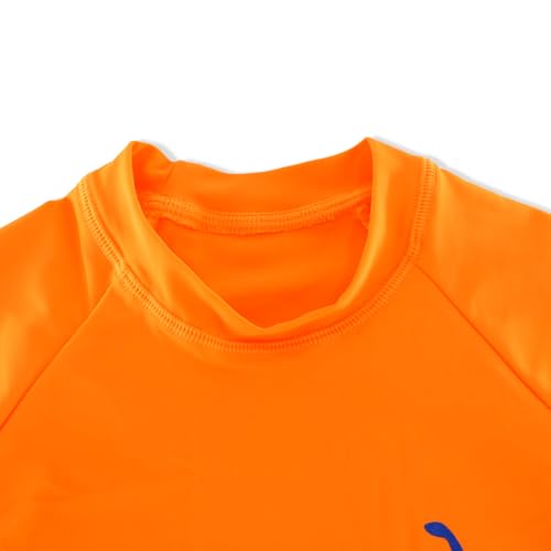Image of Kids Short Sleeve Sunsuit Swimwear Boys Two Piece Rash-Guard-Sets Dinosaur Pattern