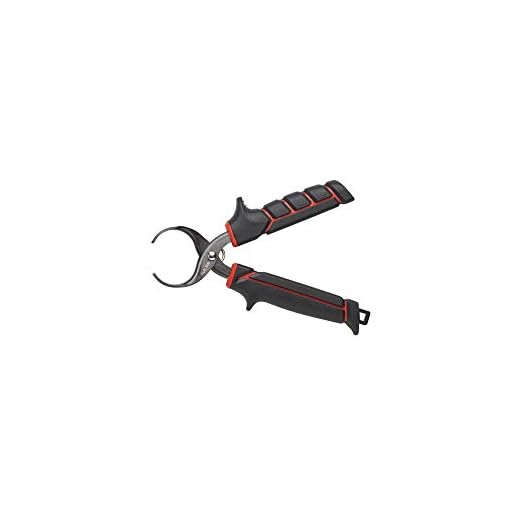 31PV9DobDOL._SS520_ Best catfish skinner