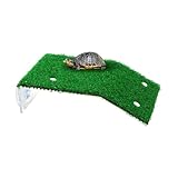 Turtle Resting Basking Platform Turtle Resting Basking Platform, Lawn Tortoise Climbing Ladder Turtle Resting Terrace for Reptile Frog Terrapin