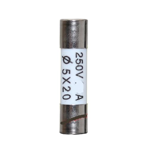 Fusible céramique 5x20mm RO54 évite les pannes électriques 250V 20A