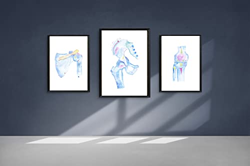 Chiropractic Art, Physical Therapy Art Wall Decor, Doctor Of Physical Therapy Gifts, Chiroractor Gifts, Human Anatomy Prints, Fine Art Print (16X20 In) #TOP2
