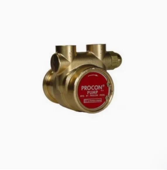 Erhältlich für PROCON Flügelpumpe 102E125F11GC 101R100R12BC099 102E125F11BA250 101A070A11BA170 101E125F11BA225 102E100F11BA2500 111 A. 125F11AA250 Allgemeines Zubehör (111A125F11AA250)